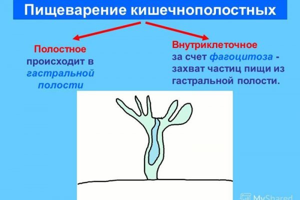 Сайт кракен россия